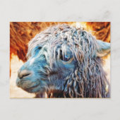 Cute Alpaca Baby in Blue Briefkaart (Voorkant)