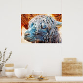 Cute Alpaca Baby in Blue Poster (Keuken)