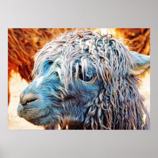 Cute Alpaca Baby in Blue Poster (Voorkant)