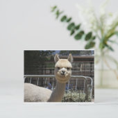 Cute Alpaca Briefkaart (Staand voorkant)