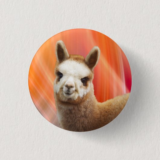 Cute Alpaca Buttonnen Ronde Button 3,2 Cm (Voorkant)