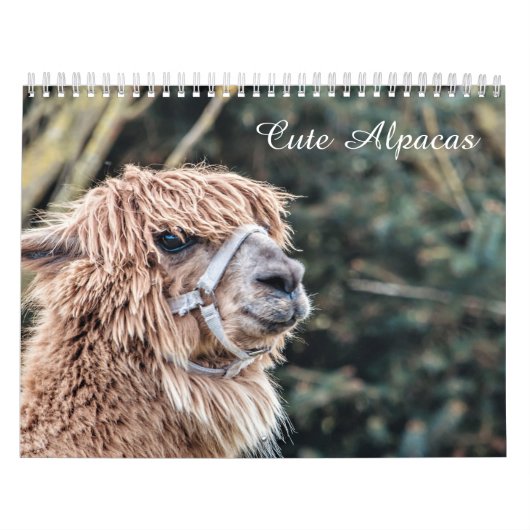 Cute Alpaca Calendar volledig Kalender (Hoes)