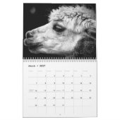 Cute Alpaca Calendar volledig  Kalender (Mar 2027)