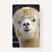 Cute Alpaca face Badge (Achterkant)