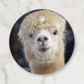 Cute Alpaca face Bedankjes Labels (Achterkant)