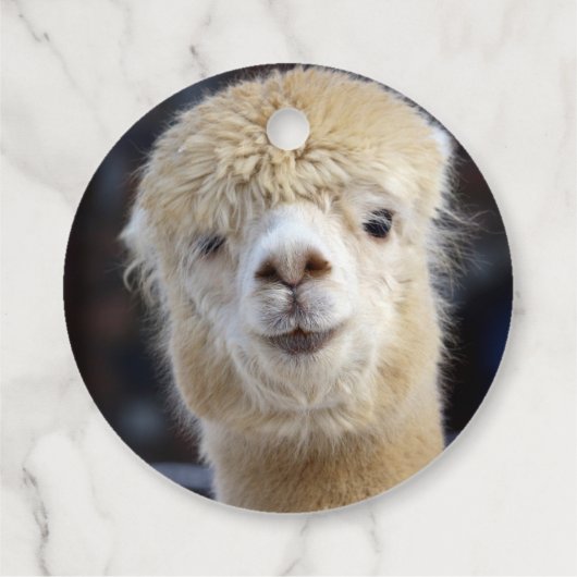 Cute Alpaca face Bedankjes Labels (Achterkant)