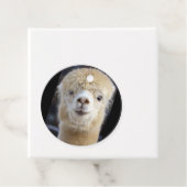 Cute Alpaca face Bedankjes Labels (In situ)