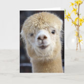 Cute Alpaca face Kaart (Gele Bloem)