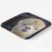 Cute Alpaca face Papieren Bordje (Gebogen)