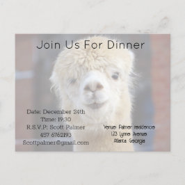 Cute Alpaca face Uitnodiging Briefkaart