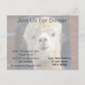 Cute Alpaca face Uitnodiging Briefkaart (Voorkant)