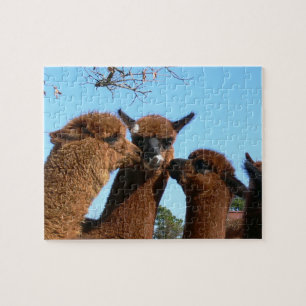 Cute Alpaca Puzzles met Gift Box Legpuzzel