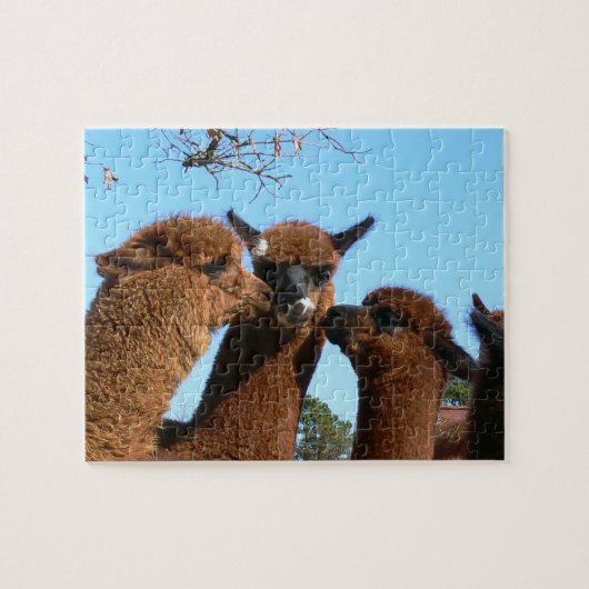 Cute Alpaca Puzzles met Gift Box Legpuzzel (Horizontaal)