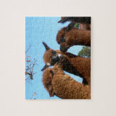 Cute Alpaca Puzzles met Gift Box Legpuzzel (Verticaal)