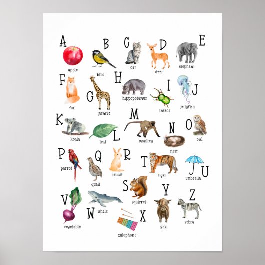 Cute Alphabet ABC Educatief Poster (Voorkant)