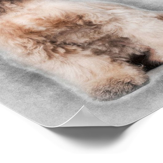 Cute American Cocker Spaniel Decoration Poster (Hoek)