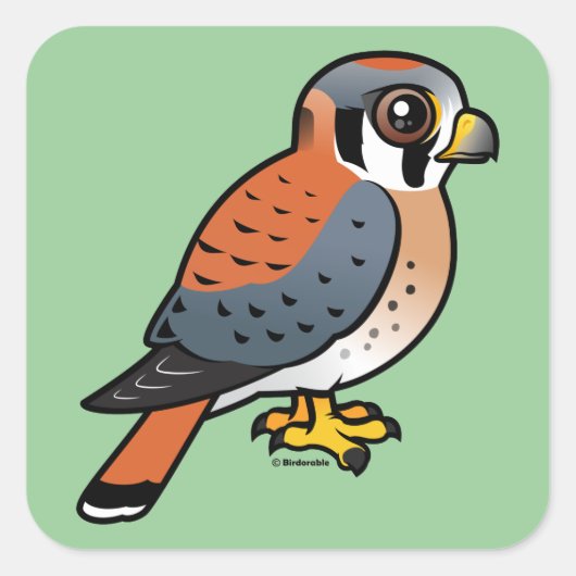 Cute American Kestrel Vierkante Sticker (Voorkant)
