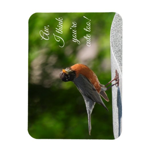 Cute American Robin *aanpassen* Magneet (Verticaal)