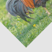 Cute and Colorful Boerderij Homestead Rooster Tissuepapier (Detail)