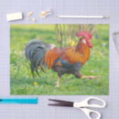 Cute and Colorful Boerderij Homestead Rooster Tissuepapier (Craft)