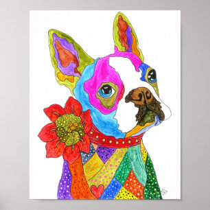 Cute and Colorful Boston Terrier Poster - 8 x 10 i
