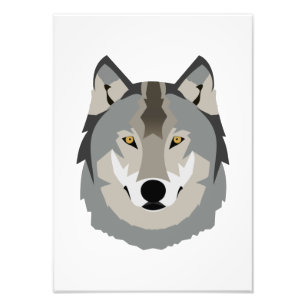 Cute and Cool Gray Wolf Face, geïllustreerd dier Foto Afdruk