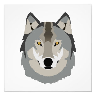 Cute and Cool Gray Wolf Face, geïllustreerd dier Foto Afdruk