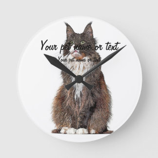 Cute and Cool, Maine Coon Cat Ronde Klok