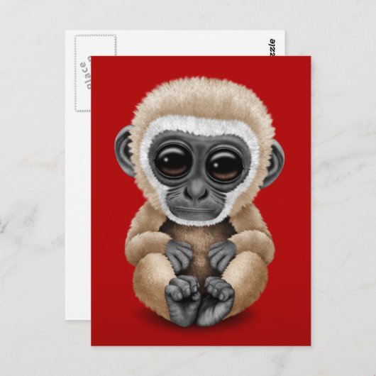 Cute and Curious Baby Gibbon on Red Briefkaart (Voorkant / Achterkant)