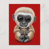 Cute and Curious Baby Gibbon on Red Briefkaart (Voorkant)