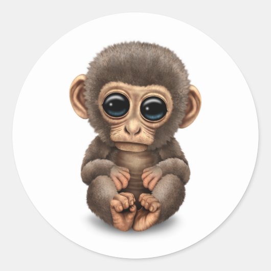 Cute and Curious Baby Monkey on White Ronde Sticker (Voorkant)