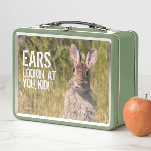 Cute and Curious Eastern Cottontail Rabbit (In situ)