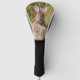 Cute and Curious Eastern Cottontail Rabbit Golfheadcover