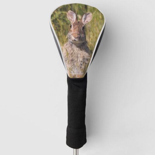 Cute and Curious Eastern Cottontail Rabbit Golfheadcover (Voorkant)