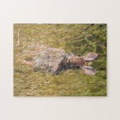 Cute and Curious Eastern Cottontail Rabbit Legpuzzel (Horizontaal)