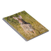 Cute and Curious Eastern Cottontail Rabbit Notitieboek (Rechterzijde)