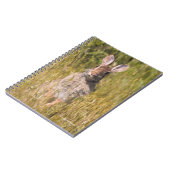 Cute and Curious Eastern Cottontail Rabbit Notitieboek (Linkerzijde)