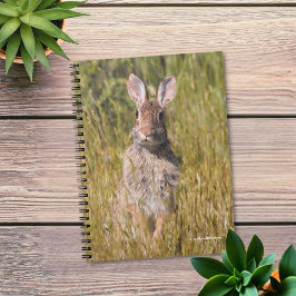 Cute and Curious Eastern Cottontail Rabbit Notitieboek