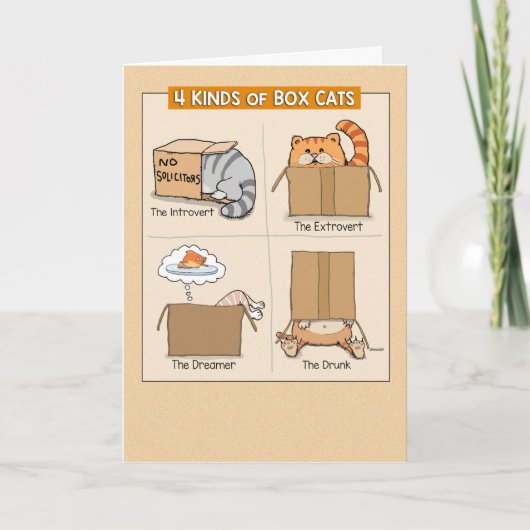 Cute and Funny Cats in Boxes Birthday Kaart (Voorkant)