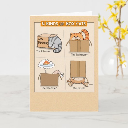 Cute and Funny Cats in Boxes Birthday Kaart (Gele Bloem)