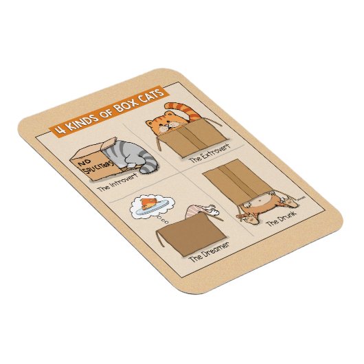 Cute and Funny Cats in Boxes Magneet (Rechterzijde)