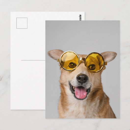 cute and funny dog with glasses  briefkaart (Voorkant / Achterkant)