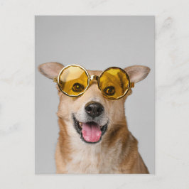 cute and funny dog with glasses  briefkaart