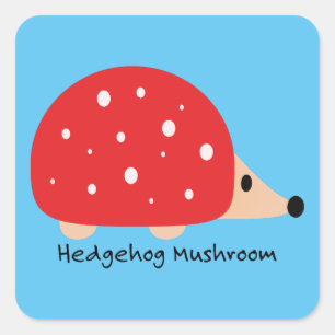 Cute and Funny Hedgel Mushroom Vierkante Sticker