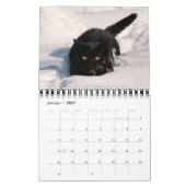 Cute and Funny Kittens Cat Photo — Kalender (Jan 2027)