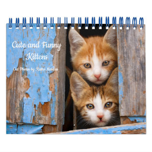 Cute and Funny Kittens Cat Photo — Kalender