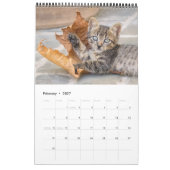 Cute and Funny Kittens Cat Photo Kalender (Feb 2027)