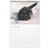 Cute and Funny Kittens Cat Photo Kalender (Jan 2027)