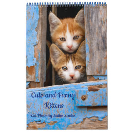 Cute and Funny Kittens Cat Photo Kalender