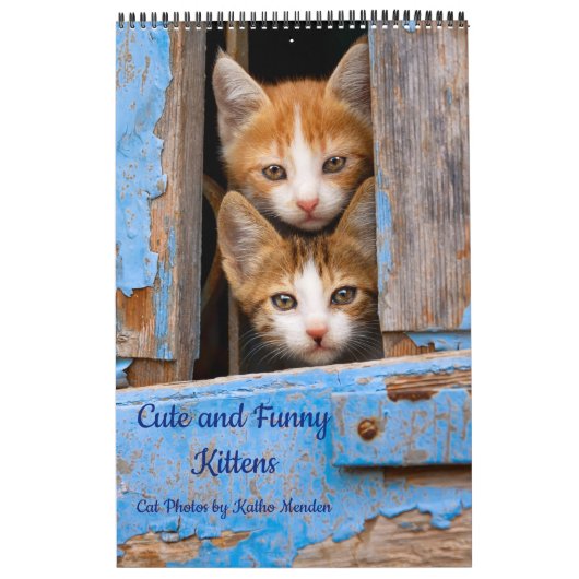 Cute and Funny Kittens Cat Photo Kalender (Hoes)
